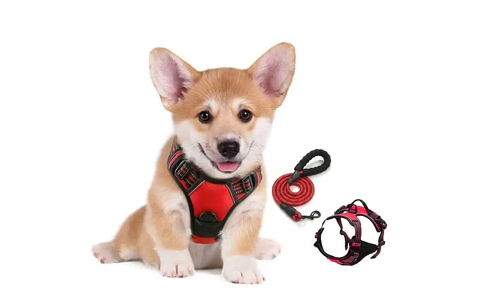 Goodtool Dog Harness Night Reflective Pet Harness With 2m Dog Leash For Small To Medium Dogs