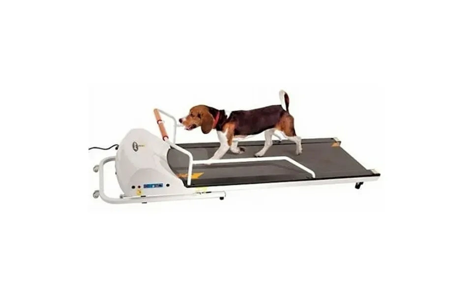 Gopet Petrun Pr720f Dog Treadmill