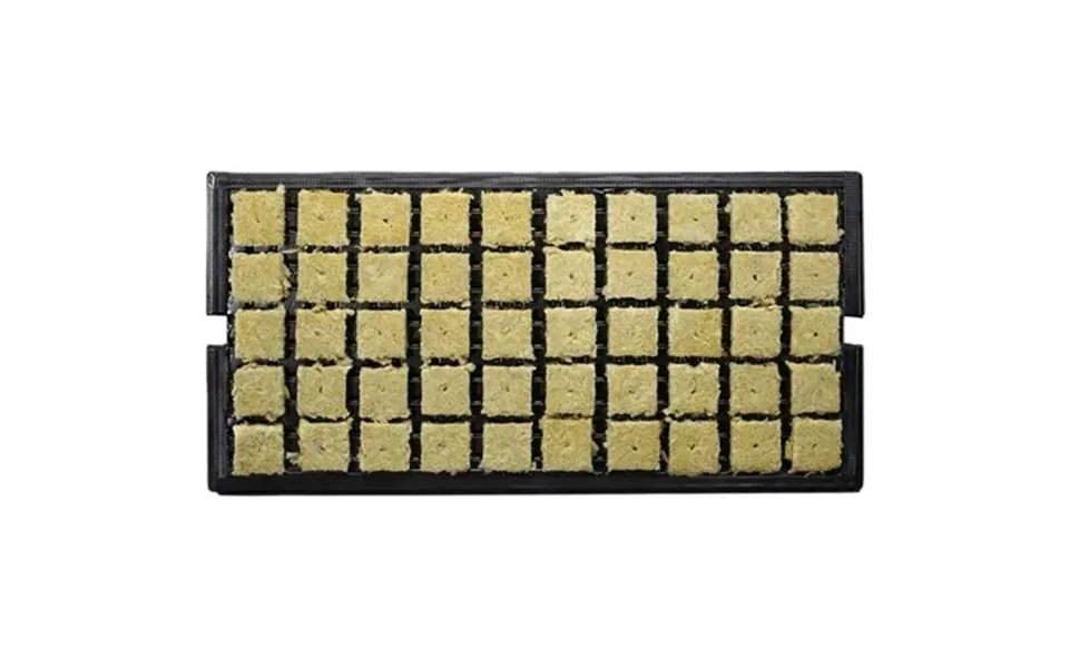 Grd Grd338009 1.5 In. Ao Plugs With 1.4 X 1.4 X 1.6 In. Trays