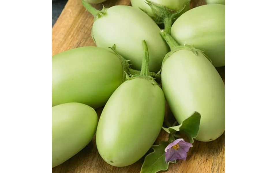 Green Envy F1 Hybrid Eggplant Seeds - 1 Lb 102400 Seeds
