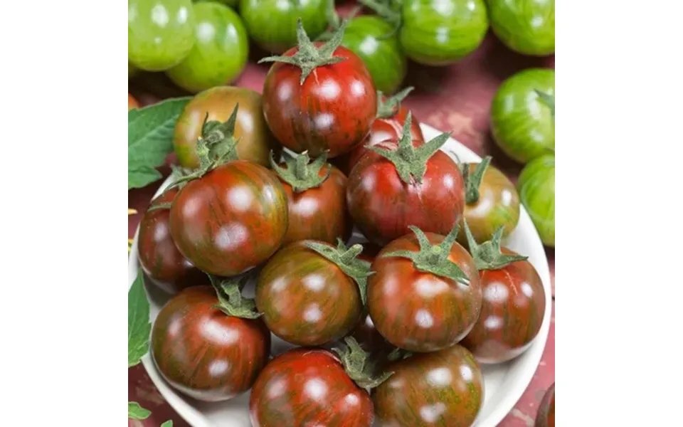 Gum Drop Brown F1 Hybrid Tomato Seeds - 4 Oz 27200 Seeds