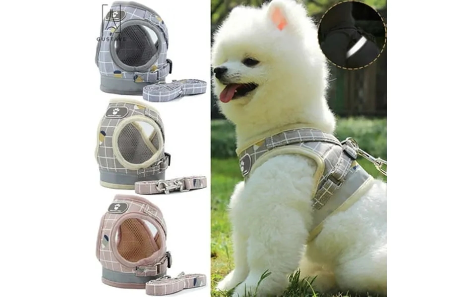 Gustave Dog Plaid Chest Harness And Leash Set Reflective Breathable Mesh Pet Vest Puppy Soft Padded Adjustable Harness S