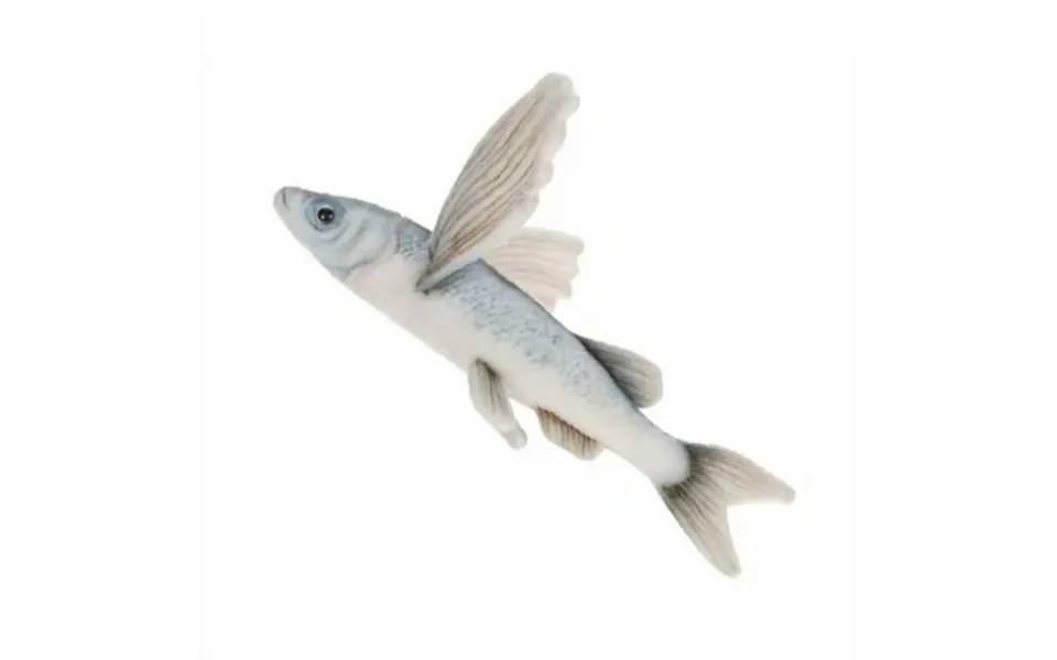 Hansa 10 Sharpchin Flying Fish