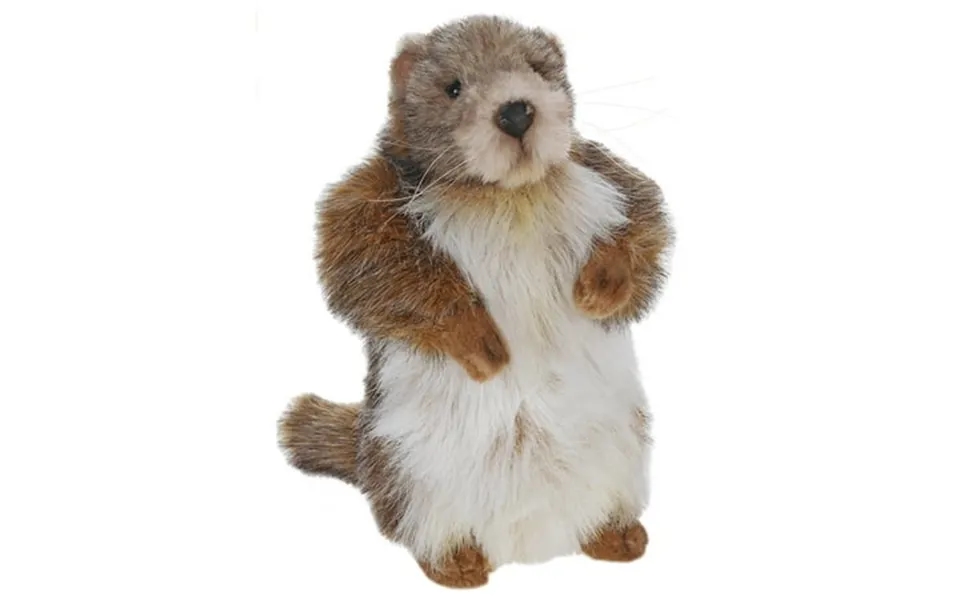 Hansa - 9 Inch Baby Mamot Groundhog