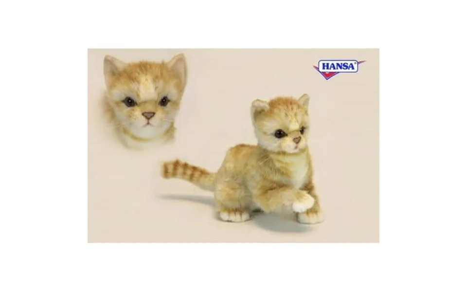 Hansa Ginger Kitten Plush Toy