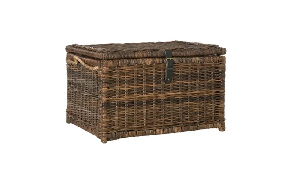 Happimess Hpm9001b Caden 30 Wicker Storage Trunk Brown
