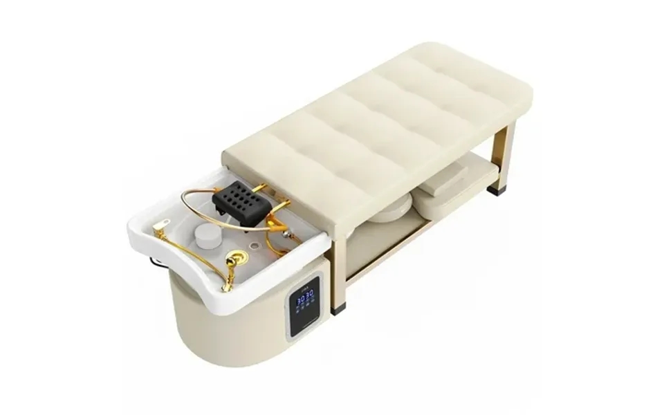 Holaki Stationary Head Spa Massage Table With Water Cycle & Fumigation Salon Equipment Pu Leather Stainless Steel Gold C