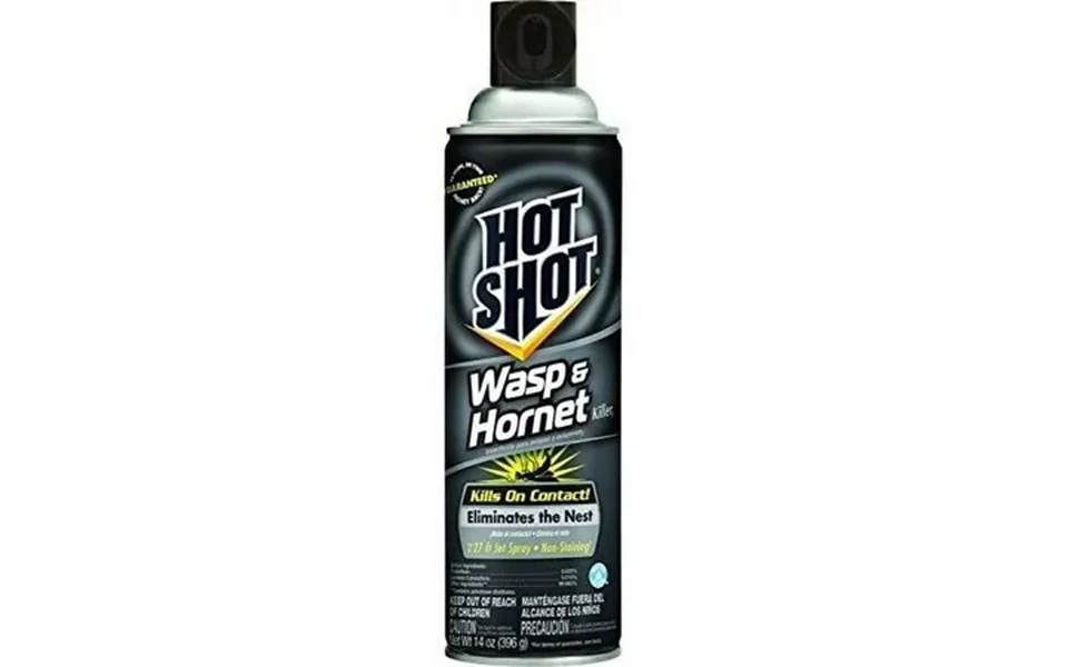Hot Shot Outdoor Wasp & Hornet Killer Spray 14 Fl Oz