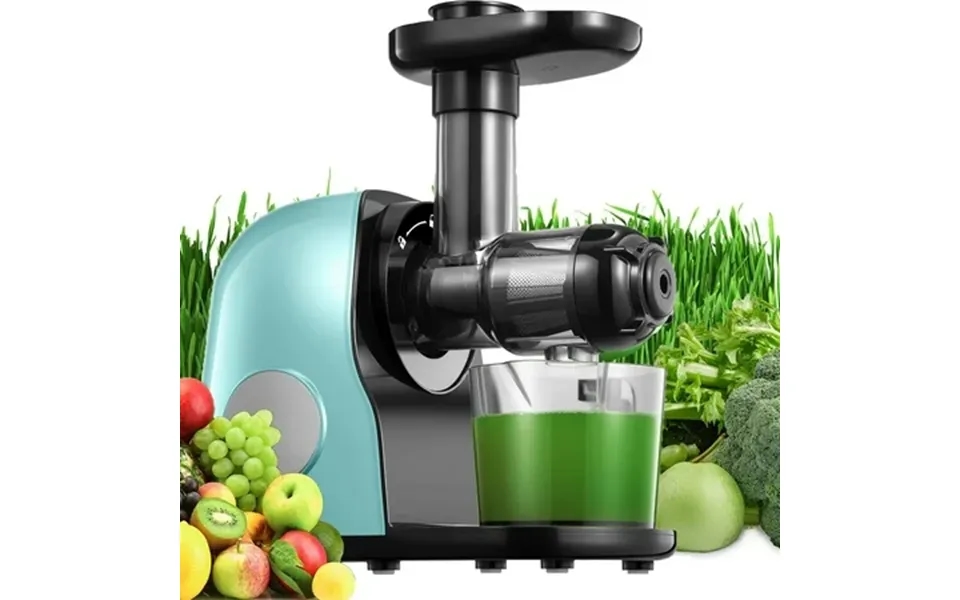 Housnat Juicer Machines Slow Masticating Juicer With Higher Juice Yield And Drier Pulp For Vegetables And Fruits- Easy T