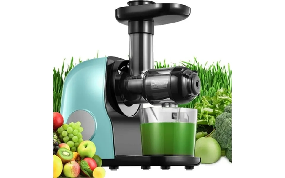 Housnat Juicer Machines Slow Masticating Juicer With Higher Juice Yield And Drier Pulp For Vegetables And Fruits- Easy T