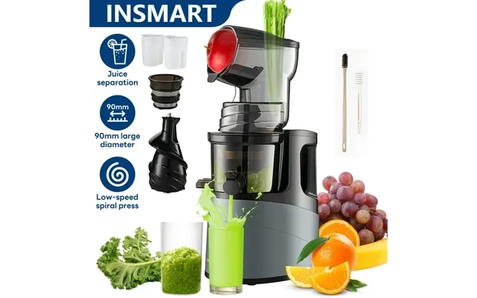 Insmart Cold Press Juicer For Home Use Masticating Juicer With 3