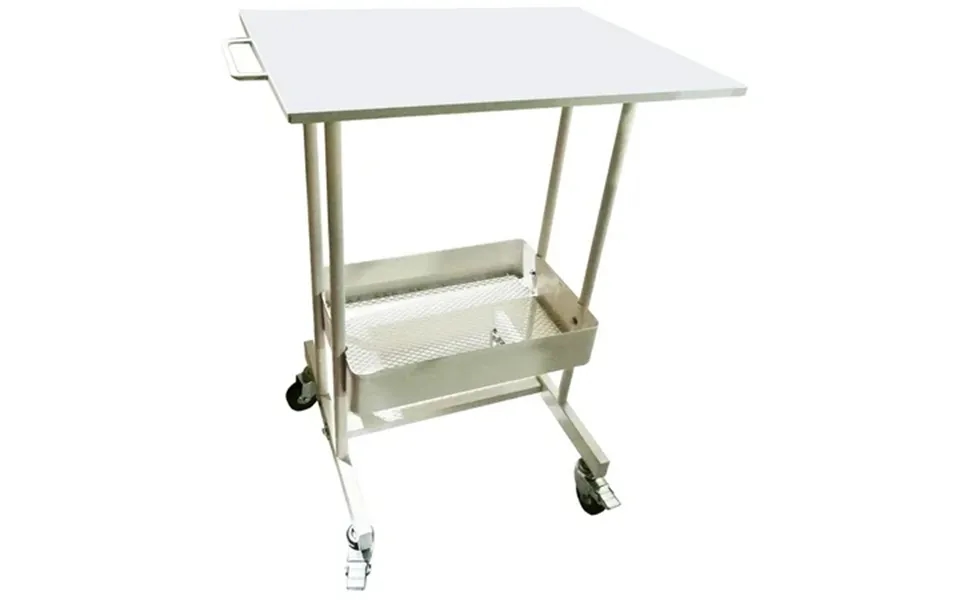 Intbuying Multifunctional Mobile Cart 2 Layers High Carbon Steel Mobile Trolley White