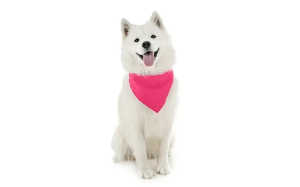 Jordefano Dog Bandanas - 7 Pack