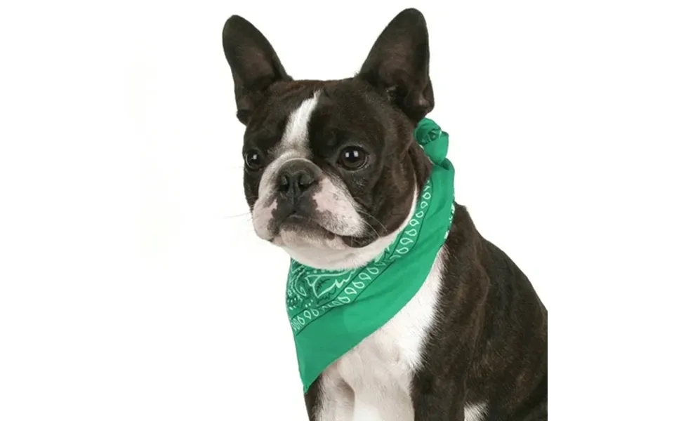 Jordefano Pack Of 3 Premium Paisley Dog Bandanas In Cotton Great For Birthday