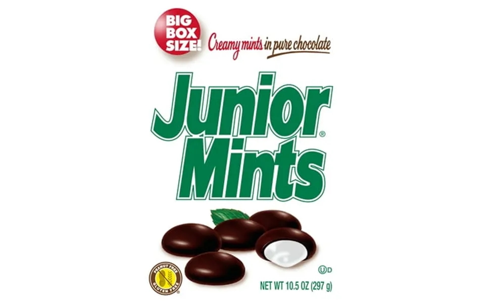 Junior Mints Dark Chocolate Mint Big Box 10.5 Oz