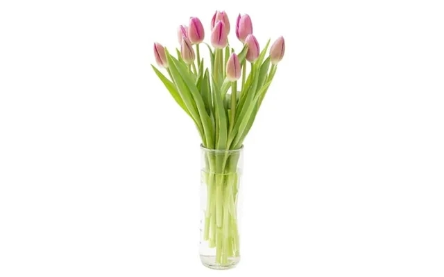 Kabloom 10 Pink Tulips With Vase Next-day Delivery Gift For Every Occasion product image