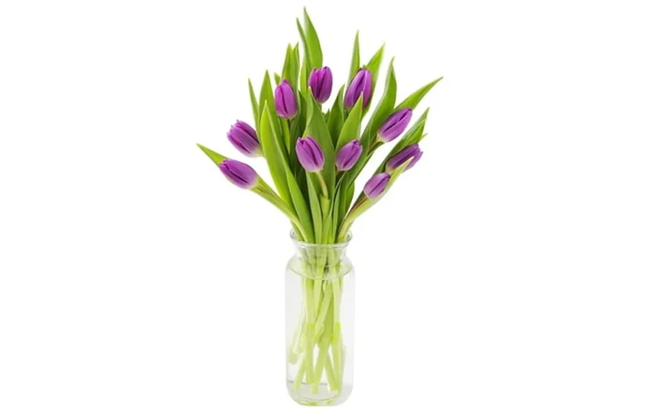 Kabloom 10 Purple Tulips In Vase Next-day Delivery Gift For Every Occasion