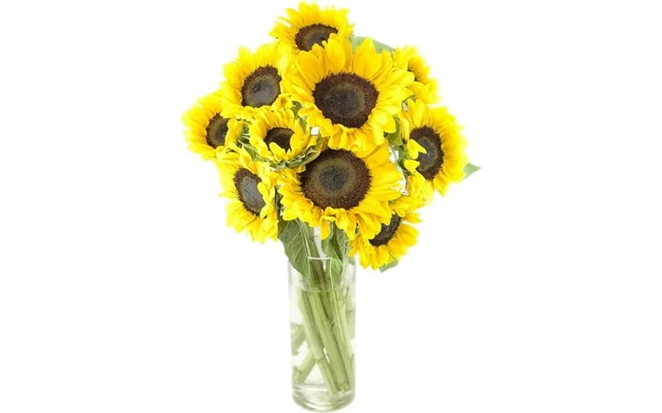 Kabloom 10 Yellow Sunflower With Vase Next-day Delivery Gift For Every Occasion