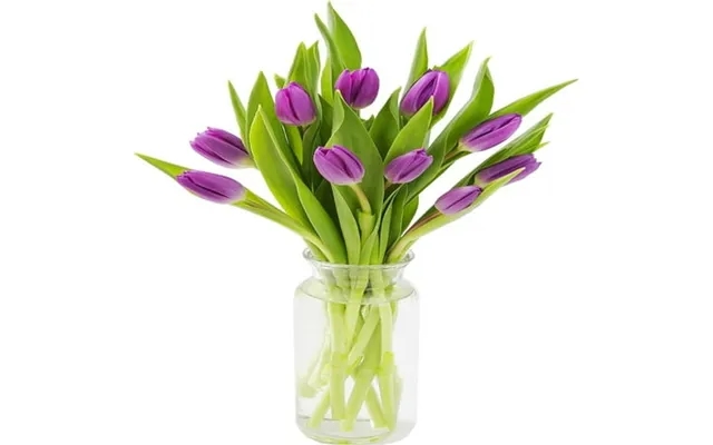 Kabloom 20 Purple Tulips 6 Greens In Vase Next-day Delivery Gift For Every Occasion product image