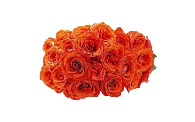 Kabloom 24 Orange Rose Next-day Delivery Gift For Every Occasion product image