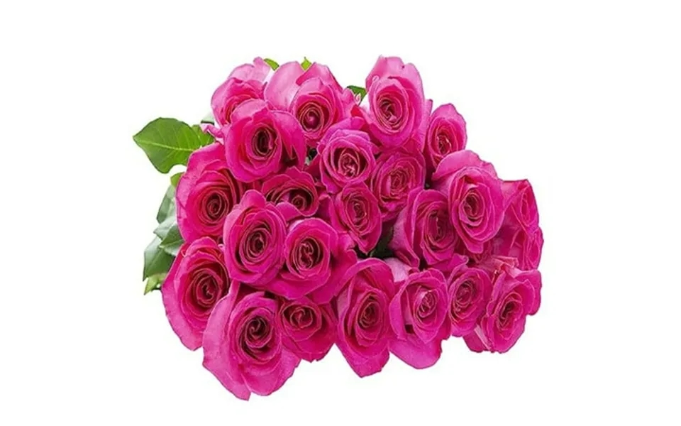 Kabloom 25 Hot Pink Roses Next-day Delivery Gift For Every Occasion