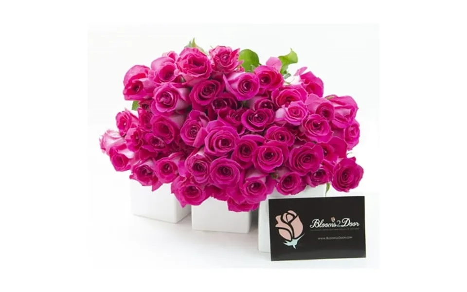 Kabloom 50 Hot Pink Roses - Farm Direct Wholesale Fresh Flowers