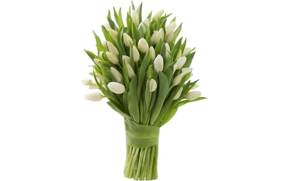 Kabloom 50 White Tulips Next-day Delivery Gift For Every Occasion
