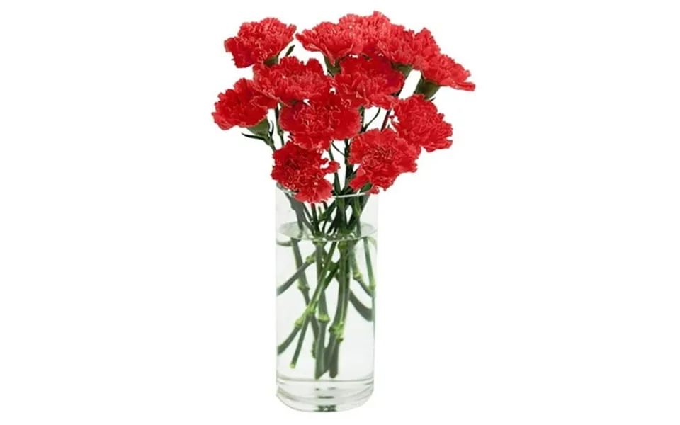 Kabloom 6 Red Carnations Next-day Delivery Gift For Every Occasion