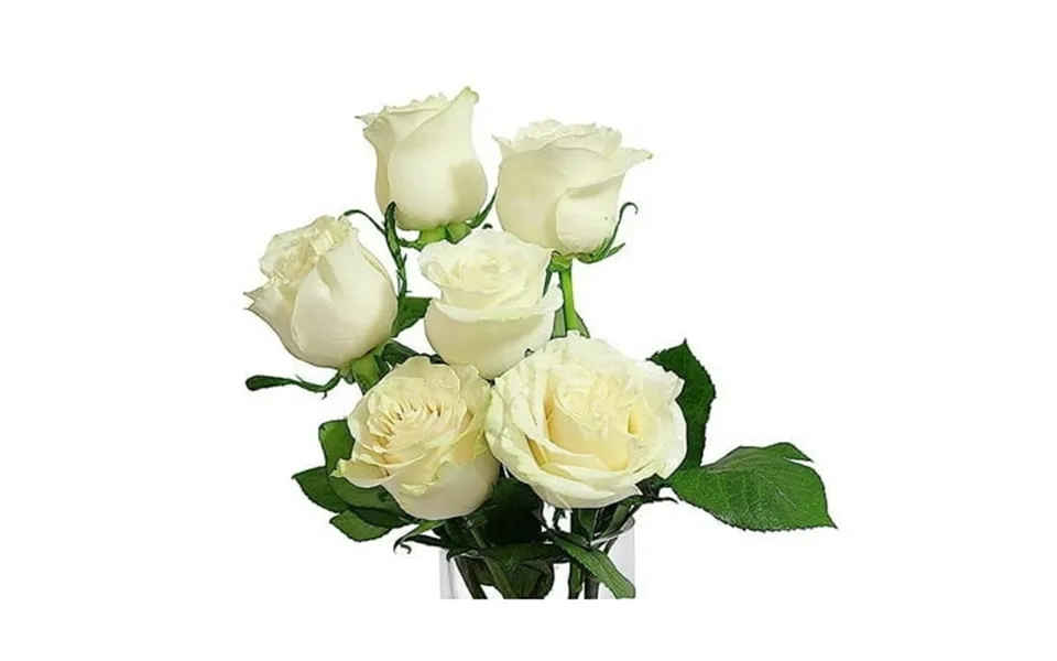 Kabloom 6 White Roses 3 Israeli Ruscus Greens Next-day Delivery Gift For Every Occasion