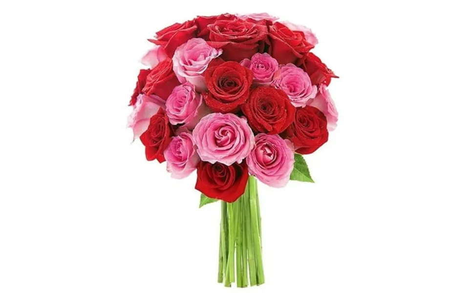 Kabloom Bouquet Of 12 Red And 12 Pink Roses Next-day Delivery Gift For Every Occasion