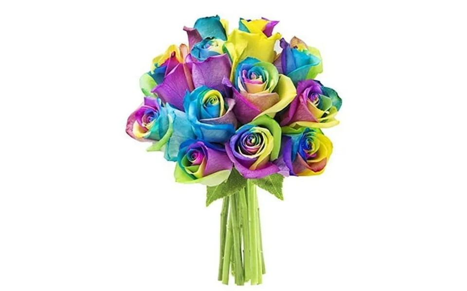 Kabloom Bouquet Of Fresh 12 Rainbow Roses Next-day Delivery Gift For All Occasions