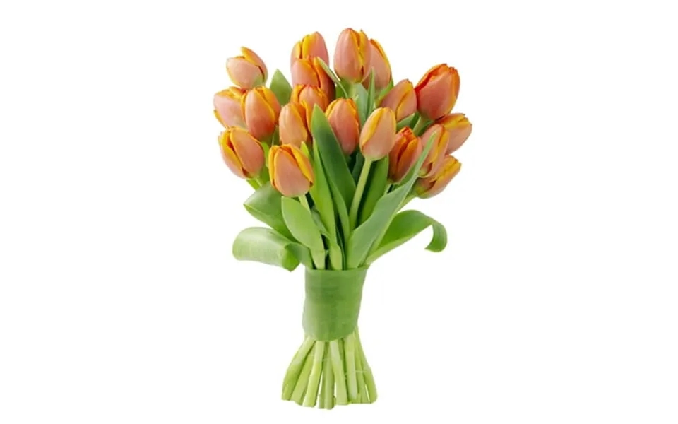 Kabloom Bouquet Of Fresh 20 Orange Tulips Next-day Delivery Gift For All Occasions