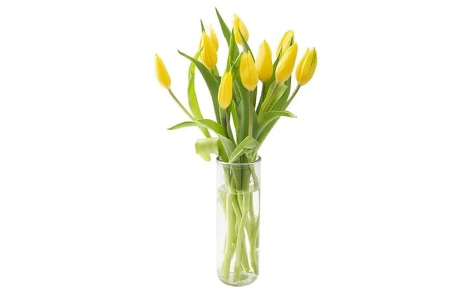 Kabloom Fall Collection- Bouquet Of 10 Yellow Tulips With Vase Next-day Delivery Gift Of Fresh Flowers For Every Occasio