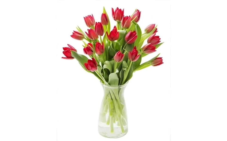 Kabloom Fall Collection- Bouquet Of 20 Red Tulips With Vase Next-day Delivery Gift Of Fresh Flowers For Every Occasion