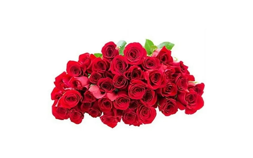 Kabloom Fall Collection- Bouquet Of Fresh 50 Red Roses Next-day Delivery Gift For All Occasions