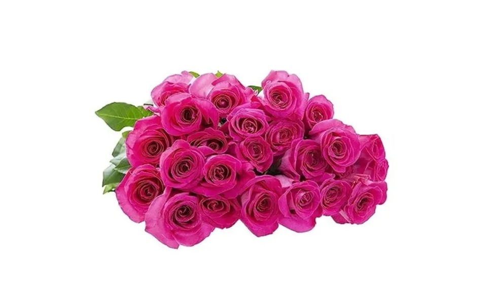 Kabloom Fall Collection- Bulk 100 Hot Pink Roses Next-day Delivery Gift Of Fresh Flowers For Every Occasion