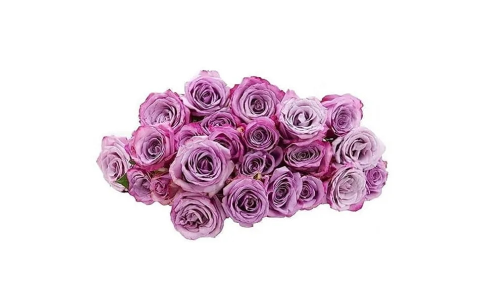Kabloom Fall Collection- Bulk 100 Purple Roses Next-day Delivery Gift Of Fresh Flowers For Every Occasion