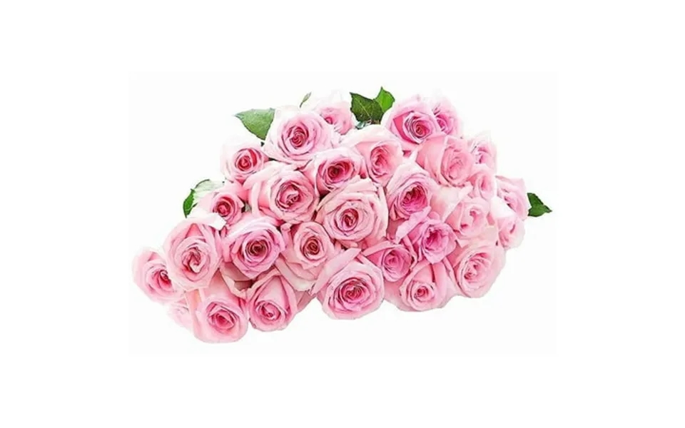 Kabloom Fall Collection-bouquet Of 24 Pink Roses Next-day Delivery Gift Of Fresh Flowers For Every Occasion