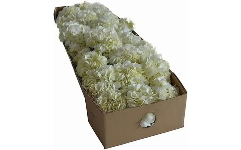 Kabloom Fresh Cut Flower 30 White Hydrangeas Easy Care Gift For All Occasions