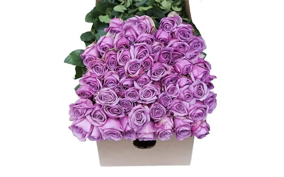 Kabloom Fresh Cut Flowers 100 Purple Roses With Vase Fragrant Gift For All Occasions