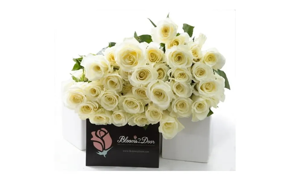 Kabloom Fresh Wholesale 50 White Roses Next-day Delivery Gift For All Occasions
