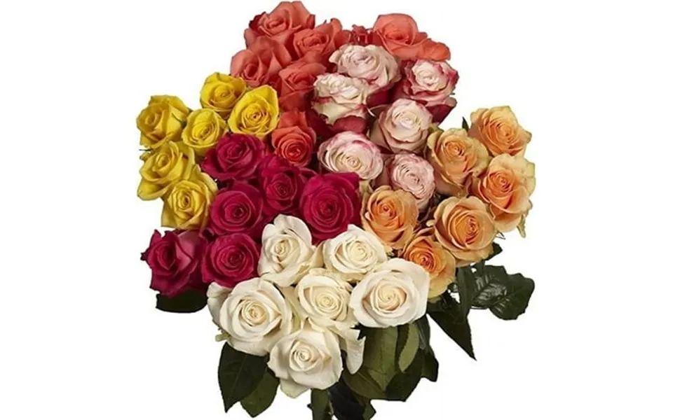 Kabloom Kabloom Bulk 50 Assorted Roses Next-day Delivery Gift For Every Occasion
