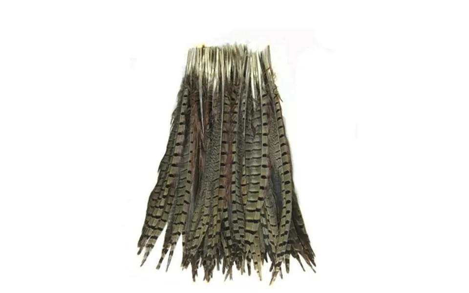 Kolight Set Of 50pcs Natural Dyed Pheasant Tails Feathers 12-14 Inch Diy Decoration Natural