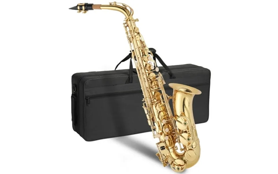 Ktaxon Professional Alto Drop E Saxophone Sax With Case Gold