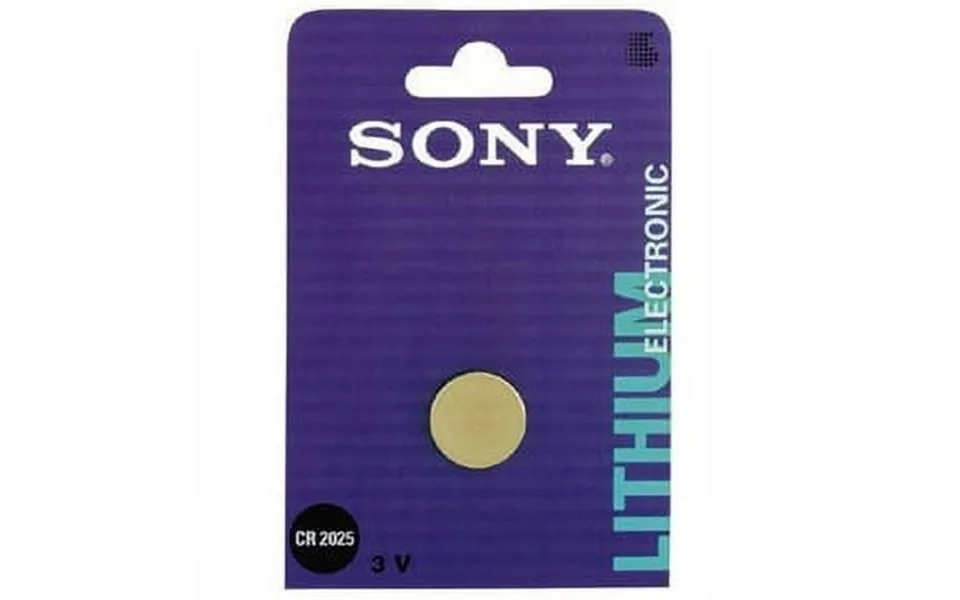 Lithium Manganese Dioxide General Purpose Battery