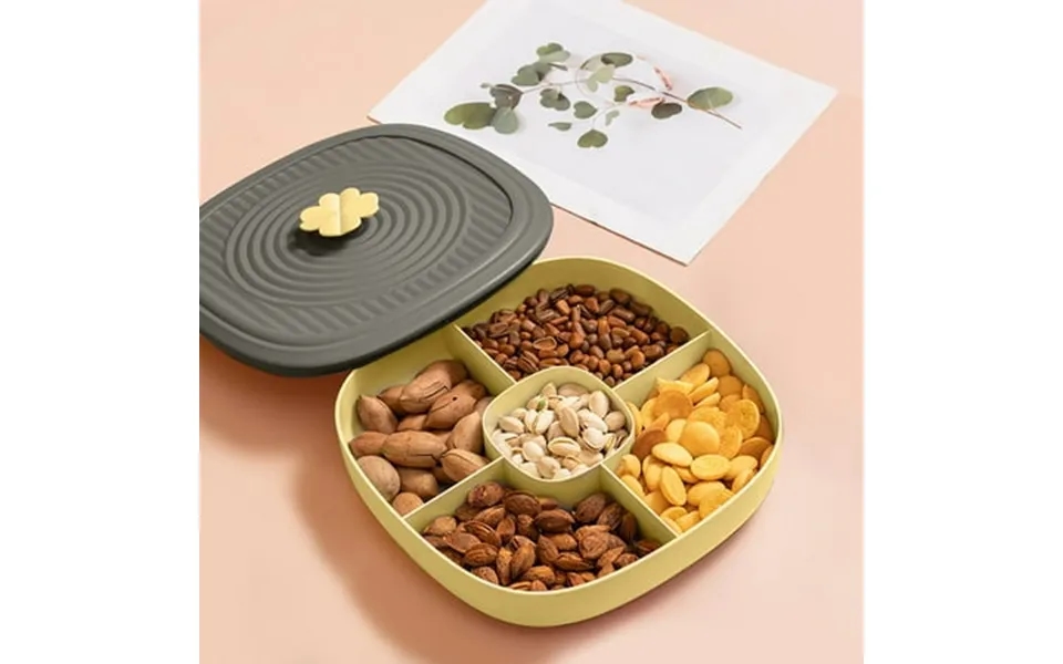 Livrdious Fruit Platter High Value Fruit Platter Beautiful Snacks Divided Platter Candy Storage Box Divided Dried Fruit