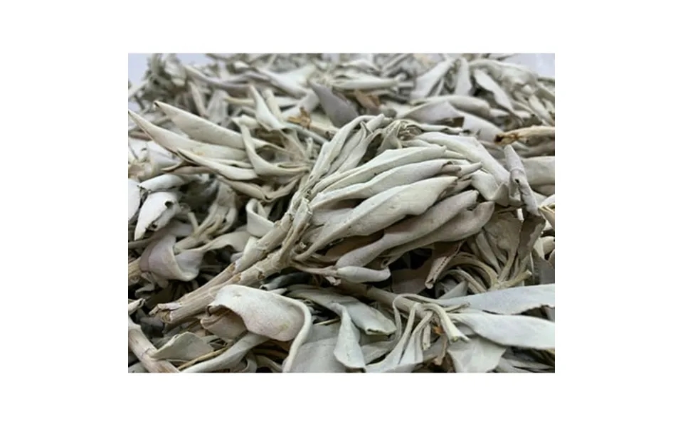 Loose White Sage Smudge Leaves & Clusters California White Sage Clusters Loose Leaf Cleansing House Blessings Wholesale