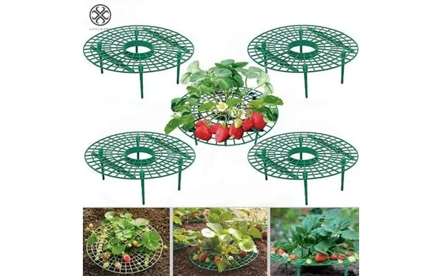 Luxtrada 5pcs Strawberry Stand Frame Holder Balcony Planting Rack Fruit Support Plant Flower Climbing Vine Pillar Garden product image