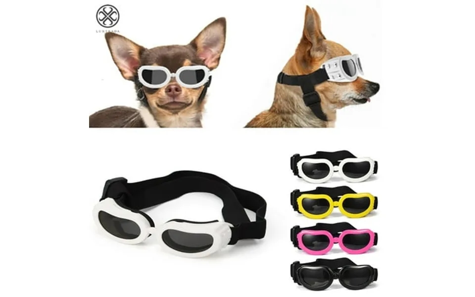 Luxtrada Dog Sunglasses Dog Goggles Pet Glasses Uv Protection Sunglasses Eye Wear Protection With Adjustable Strap For S