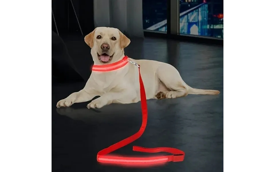 Luxtrada Led Dog Leash Light Up Dog Leash Micro Usb Rechargeable Waterproof Nylon Webbing Glow Safety Standard Dog Leash